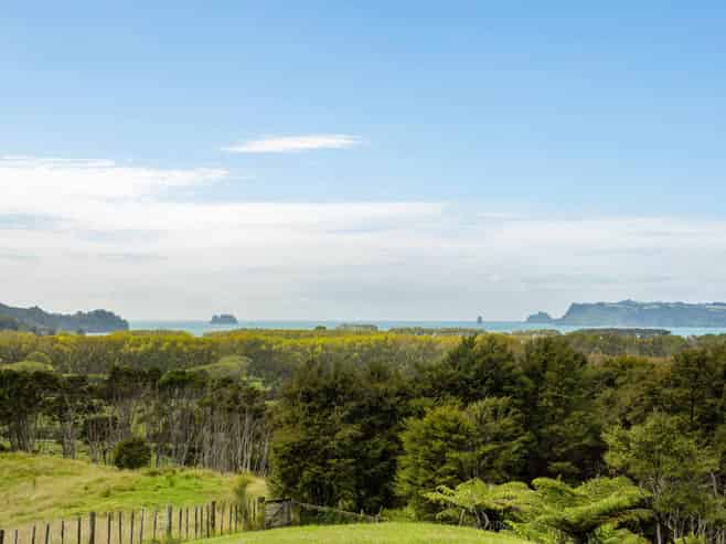 168 Moewai Road, Whitianga