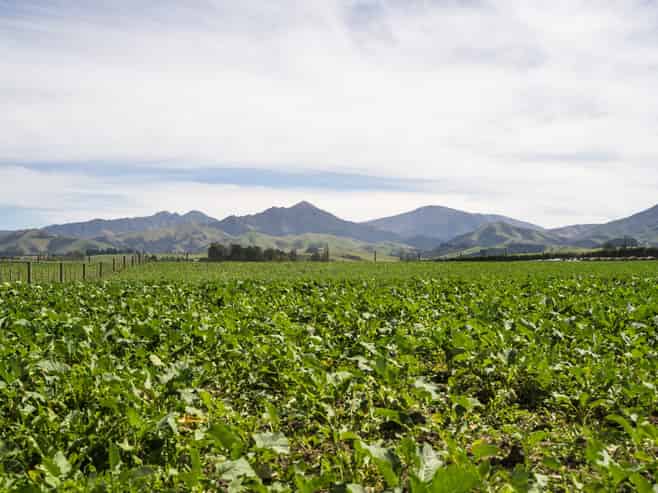  Tait Road, Geraldine