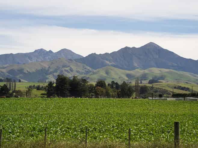  Tait Road, Geraldine