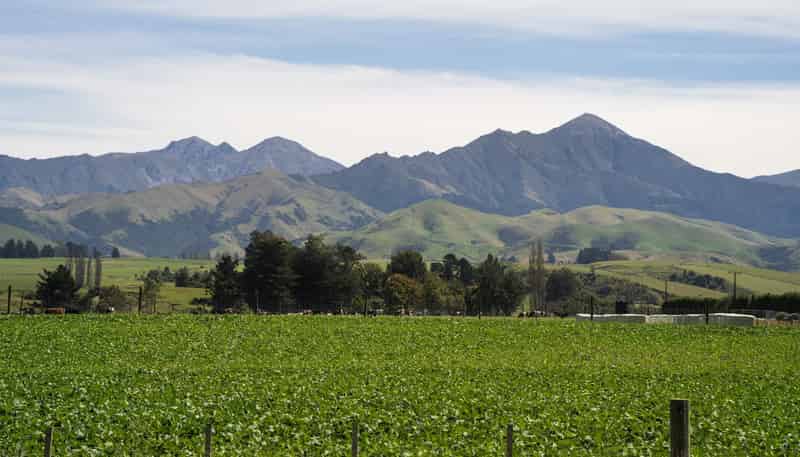  Tait Road, Geraldine