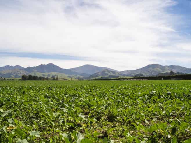  Tait Road, Geraldine