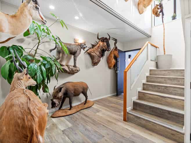 3 Elgin Place, Red Beach