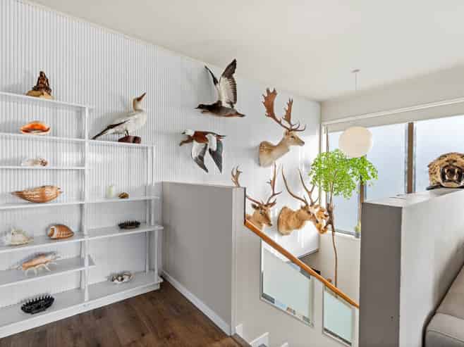 3 Elgin Place, Red Beach