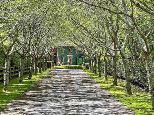 Waikato - Address withheld