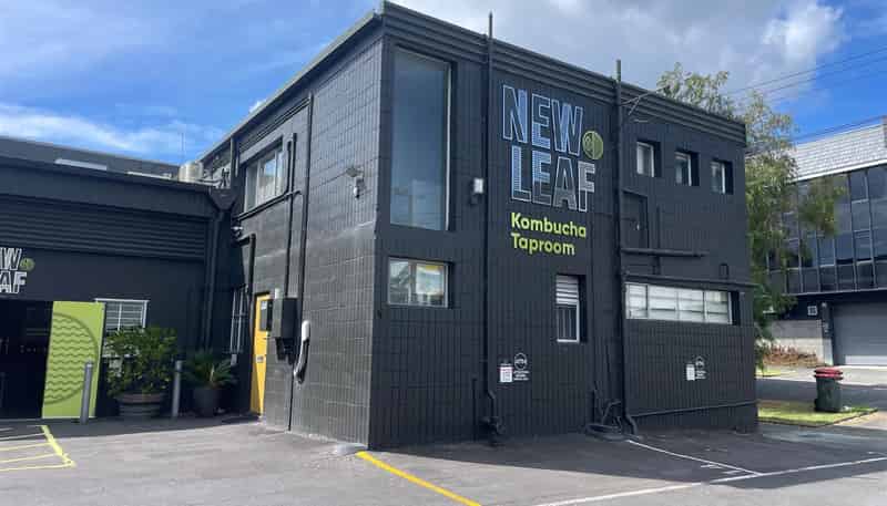  Unit A, 37 Crummer Road, Grey Lynn