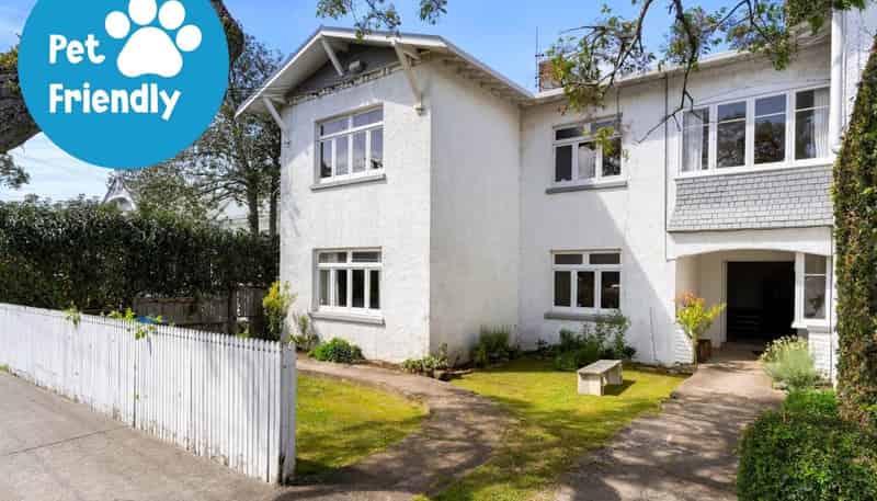 2/10 Ngauruhoe Street, Mount Eden