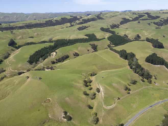 453 Dry River Road, Martinborough