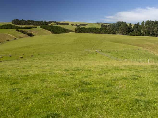 453 Dry River Road, Martinborough