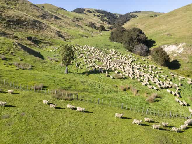 453 Dry River Road, Martinborough