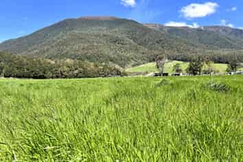  848 Palmer Road, Reefton