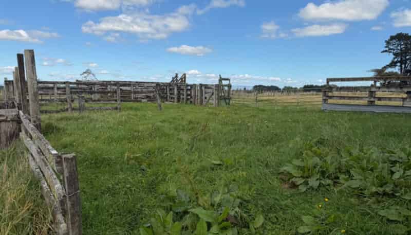 9A Cnr Tamaki East/West Roads, Dannevirke