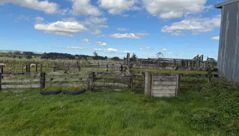 9A Cnr Tamaki East/West Roads, Dannevirke