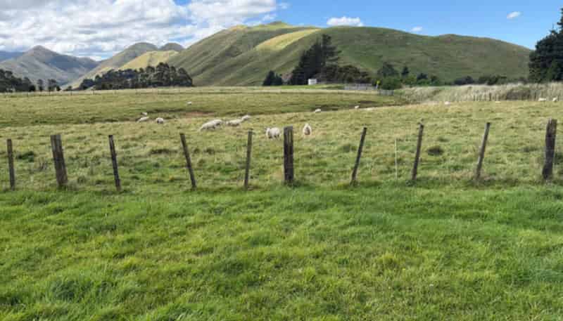 9A Cnr Tamaki East/West Roads, Dannevirke
