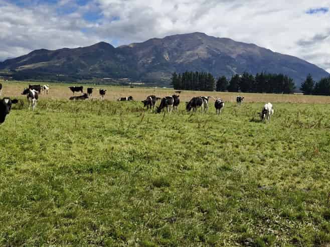 481 Camp Hill Road, Hawea Flat