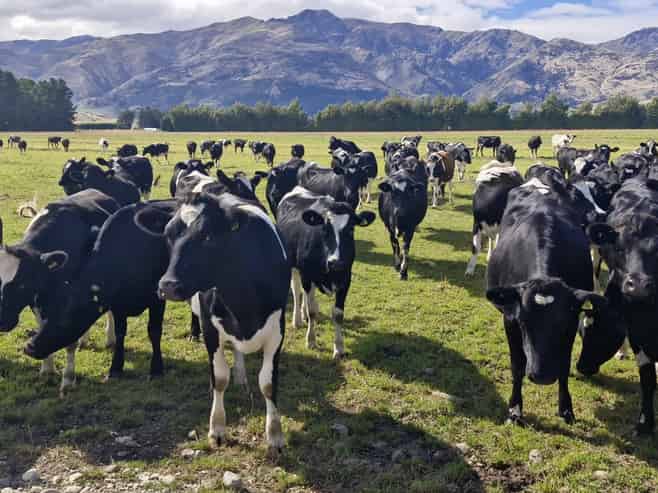 481 Camp Hill Road, Hawea Flat