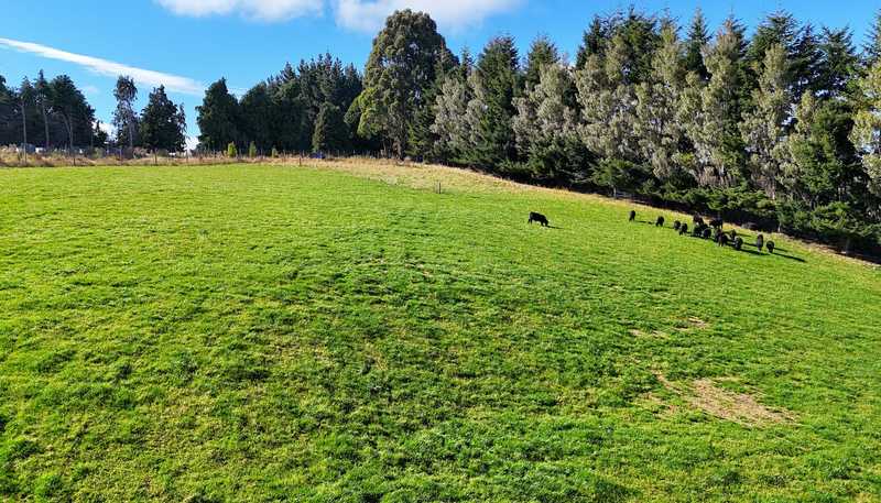 126 Ridgedale Road, Te Anau