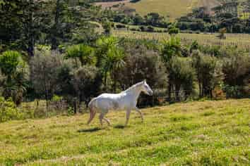 117 Worrall Road, Kumeu