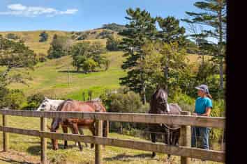 117 Worrall Road, Kumeu