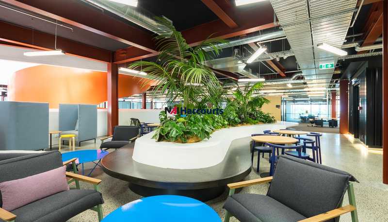 B:Hive/74 Taharoto Road, Takapuna