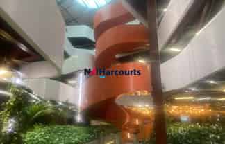 Unique Office Opportunity in Takapuna