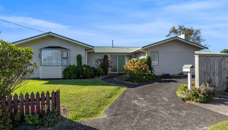 238 Huatoki Street, Upper Vogeltown