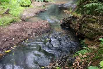 1 Knudsen Road, Awarua, Kaikohe