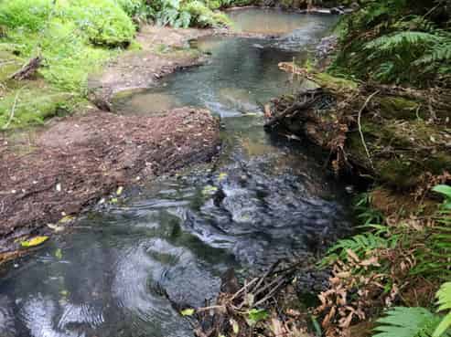 1 Knudsen Road, Awarua
