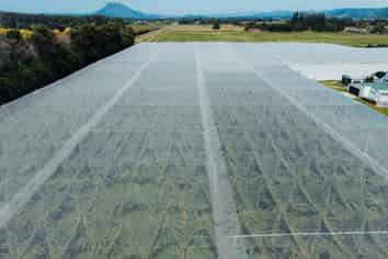 206 Awaiti South Road, Otakiri