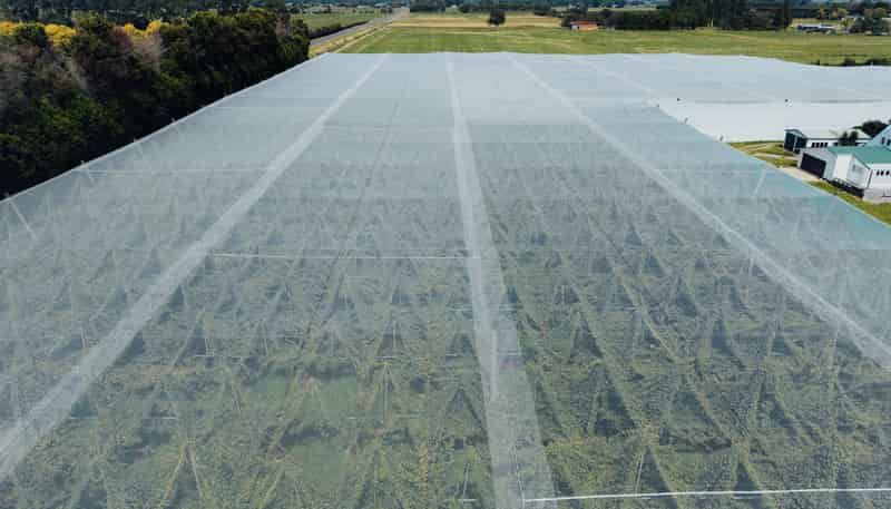 206 Awaiti South Road, Otakiri