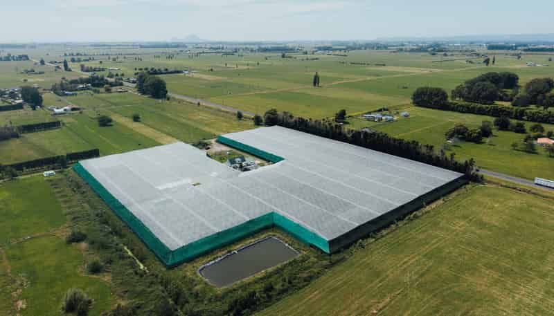 206 Awaiti South Road, Otakiri