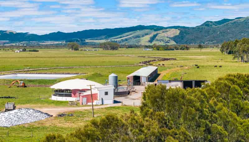 351 Otaua Road, Waiuku
