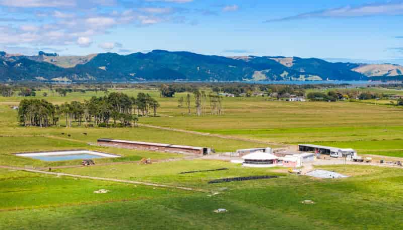 351 Otaua Road, Waiuku