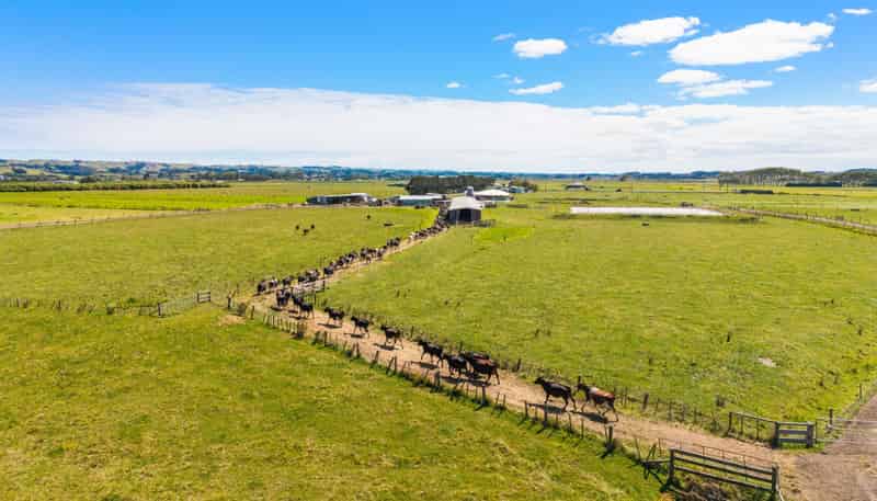 351 Otaua Road, Waiuku