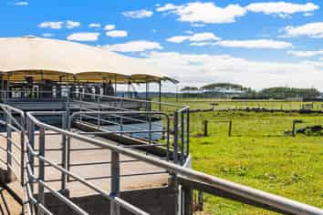 351 Otaua Road, Waiuku