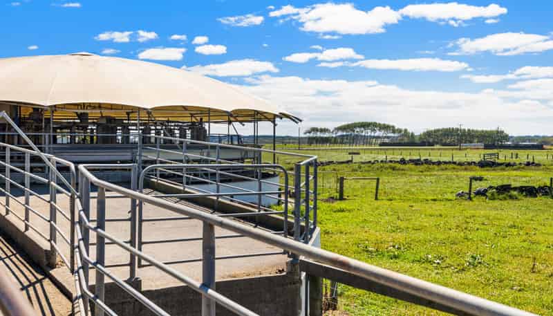 351 Otaua Road, Waiuku