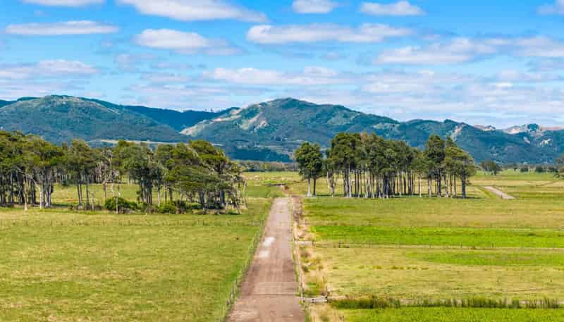 351 Otaua Road, Waiuku