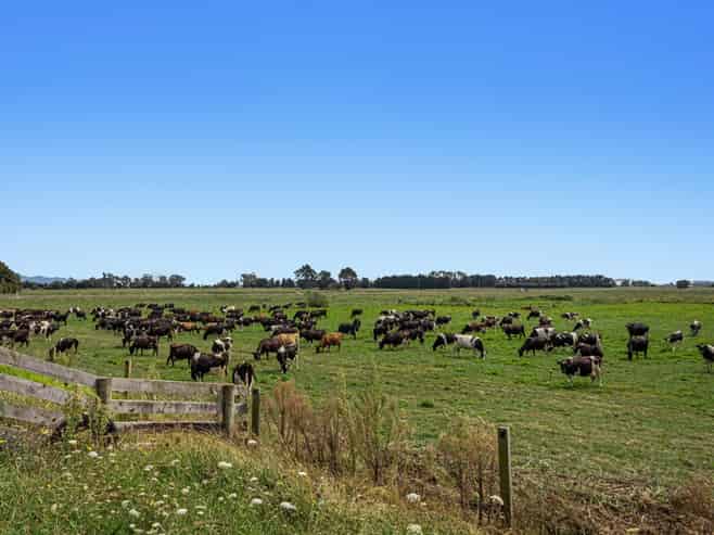 379B Powdrell Road, Awakeri