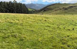 . Tamaki East Road, Dannevirke