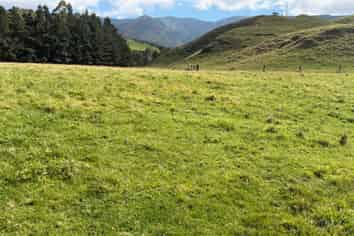 . Tamaki East Road, Dannevirke