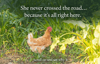 1574 Cambridge Road, Te Awamutu