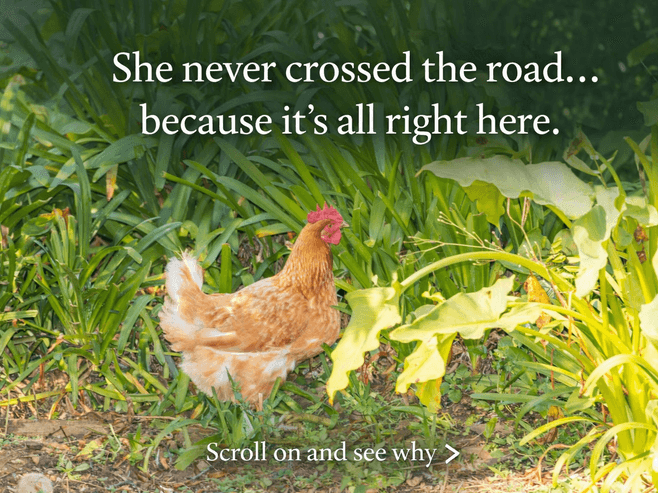 1574 Cambridge Road, Te Awamutu