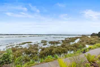 82 Alford Street, Waterview