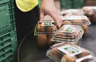 Niche Horticulture Processing & Packing