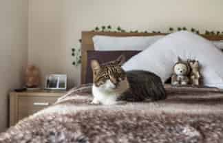 26 BATHURST CRESCENT, Pokeno