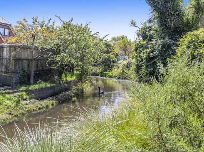 4c Wichita Place, Burwood