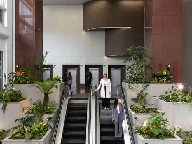 Walk-in Premium Grade Office Floor