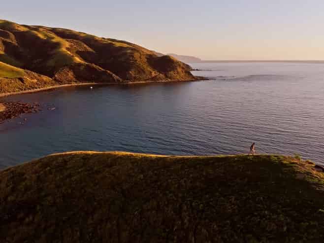  Pikarere Farm, Porirua