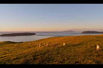  Pikarere Farm, Porirua