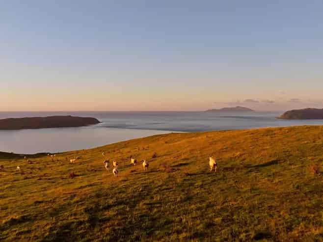 Pikarere Farm, Porirua