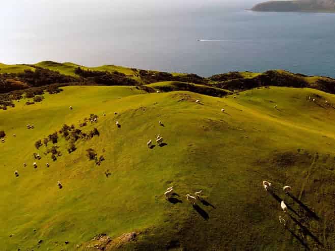  Pikarere Farm, Porirua